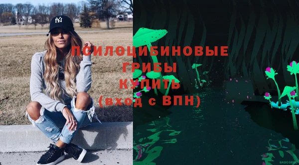 сатива Баксан