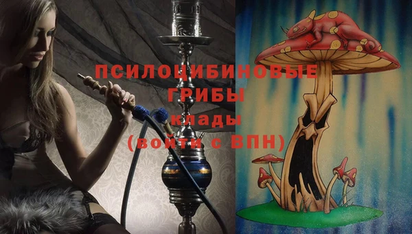 молекула духа Балабаново
