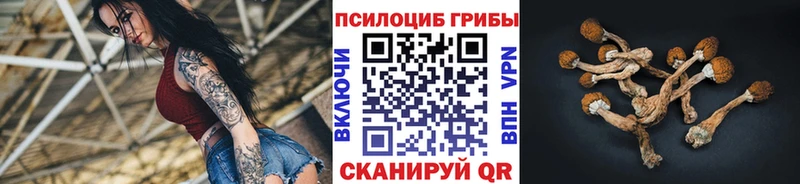 Галлюциногенные грибы GOLDEN TEACHER  наркотики  Кашира 